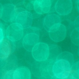 Bokeh-439